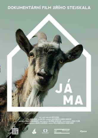 Яма (фильм 2014)