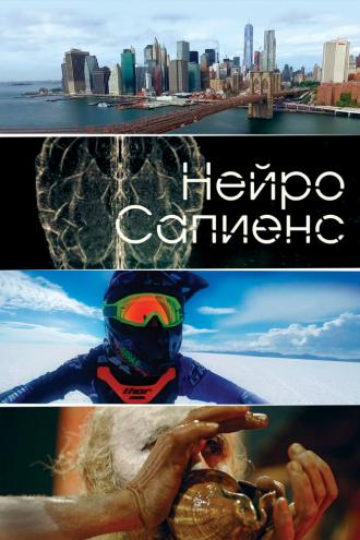 Нейро сапиенс (сериал 2020)