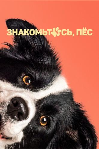 Знакомьтесь, пёс (фильм 2022)