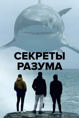 Секреты разума (сериал 2021)