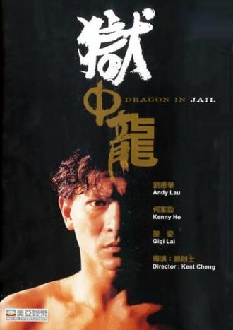 Дракон в тюрьме (фильм 1990)