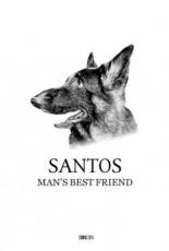 Santos (2019)