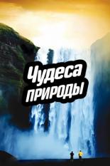 Чудеса природы (2012)