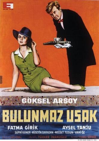 Идеальный слуга (фильм 1963)
