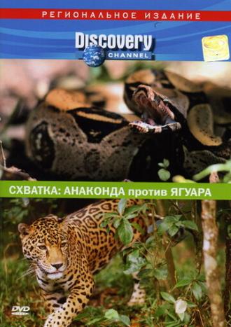 Discovery. Схватка: Анаконда против ягуара (фильм 2004)
