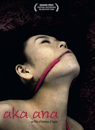Красная дыра (фильм 2008)
