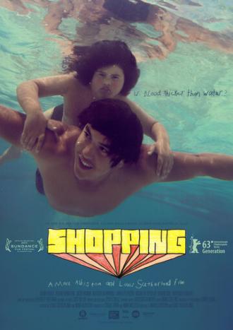 Шоппинг (фильм 2013)