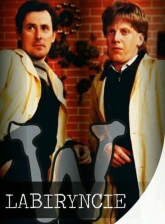 В лабиринте (сериал 1988)
