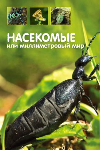 Насекомые, или Миллиметровый мир (сериал 2014)