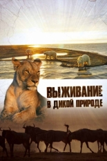 Выживание в дикой природе (2015)