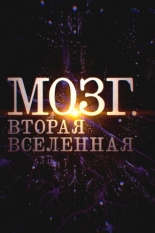 Мозг. Вторая Вселенная 2021