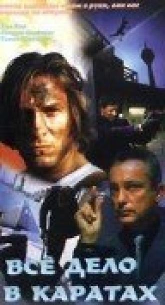 Все дело в каратах (фильм 1998)