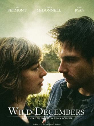 Безумные декабри (фильм 2009)