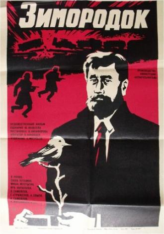 Зимородок (фильм 1972)