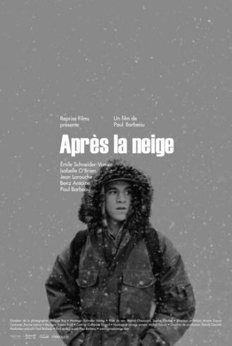 После снегопада (фильм 2012)