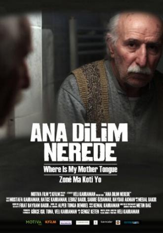 Где мой родной язык? (фильм 2012)
