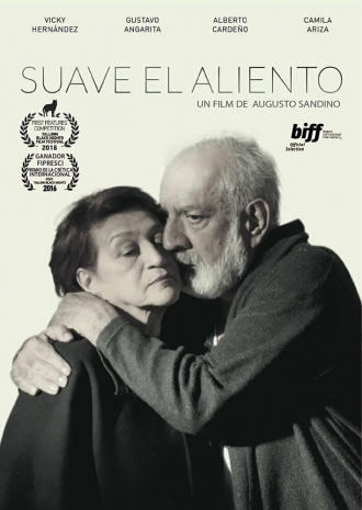 Молчаливое зеркало (фильм 2015)