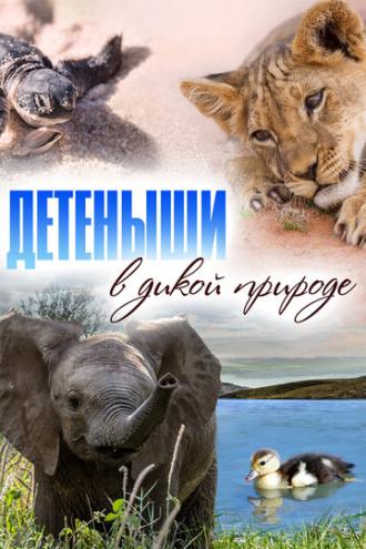Детеныши в дикой природе (сериал 2015)