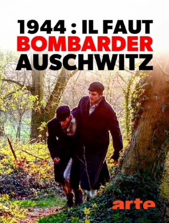 1944: Should We Bomb Auschwitz? (фильм 2019)