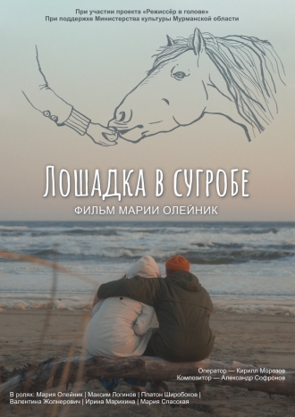 Лошадка в сугробе (2026)