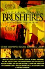 Brushfires 2004