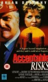 Acceptable Risks 1986