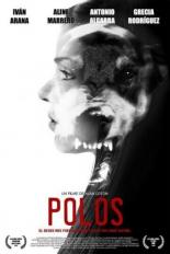 Polos 2013