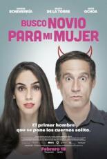 Busco novio para mi mujer (2016)