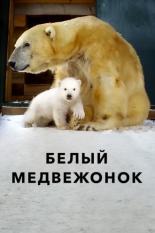 Белый медвежонок (2018)