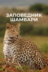 Заповедник Шамвари 2018