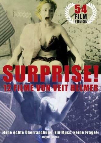 Сюрприз! 12 короткометражек Файта Хелмера (фильм 2006)