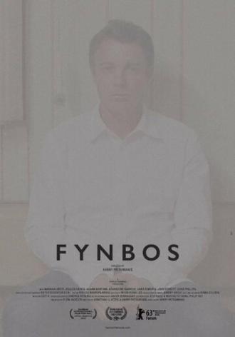 Финбос (фильм 2012)