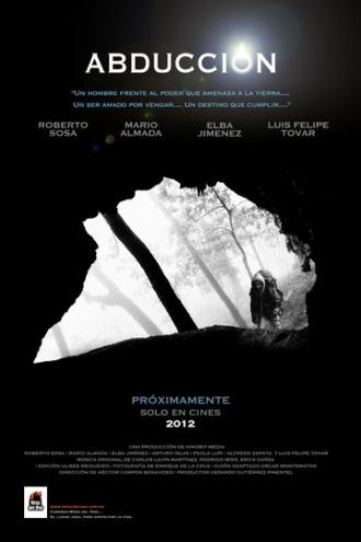 Похищение (фильм 2013)