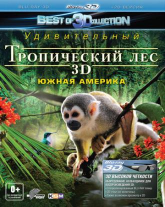 Тропический лес 3D