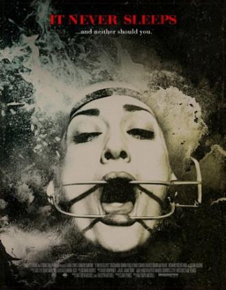 It Never Sleeps (фильм 2014)