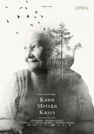 Волшебный лес Кайсы (фильм 2016)