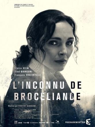 Незнакомец из Броселианда (фильм 2016)