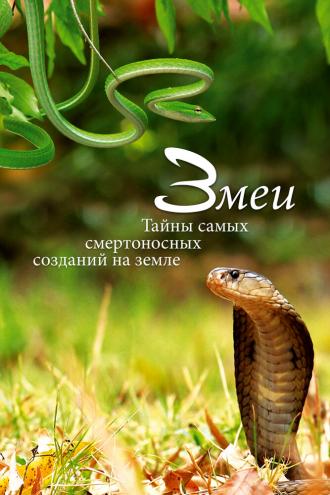 Змеи. Тайны самых смертоносных созданий на земле (фильм 2014)