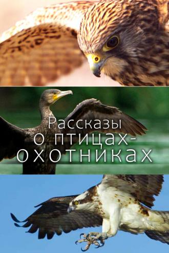 Рассказы о птицах-охотниках (сериал 2011)