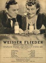 Weißer Flieder 1940