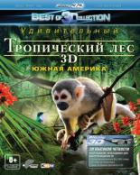 Тропический лес 3D (2012)