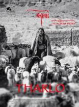 Тарло 2015