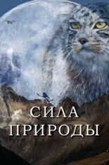 Сила природы (2020)