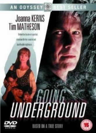 Жизнь под чужим именем (фильм 1993)