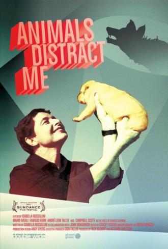Животные меня отвлекают (фильм 2011)