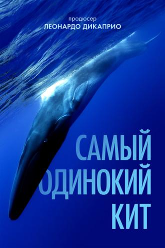 Самый одинокий кит (фильм 2021)