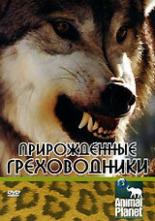 Прирожденные греховодники 2003