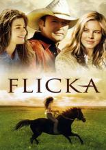Флика (2006)
