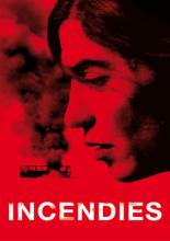 Пожары (2010)