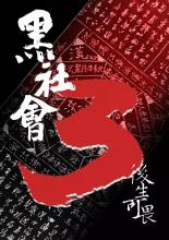 Выборы 3 (2005)